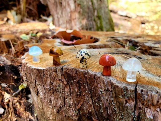 mushroom crystal