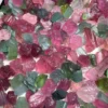 Watermelon Tourmaline Gravel