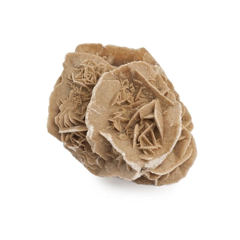 Desert Rose