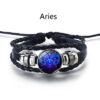 Variation picture for Aries