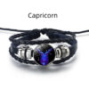 Variatiebeeld voor Capricorn