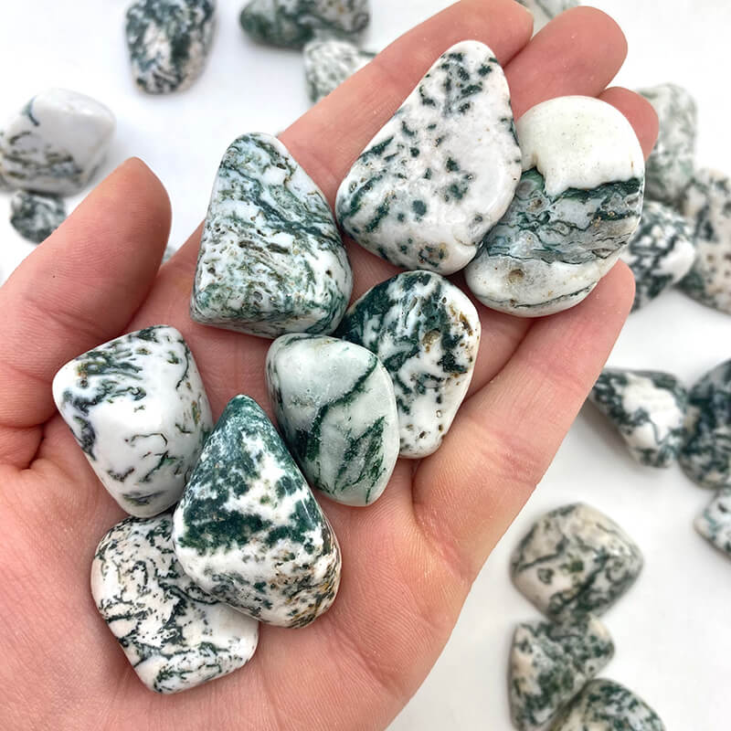 Tree Agate