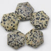 dalmatian-jasper