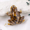 tiger-eye