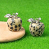 Dalmatian Jasper용 변형 사진