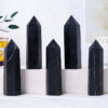 Natural Shungite Tower Stone Single Point