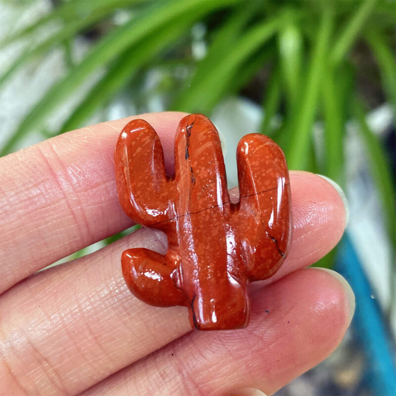 8 Types Cactus Crystal Carving Plants 11