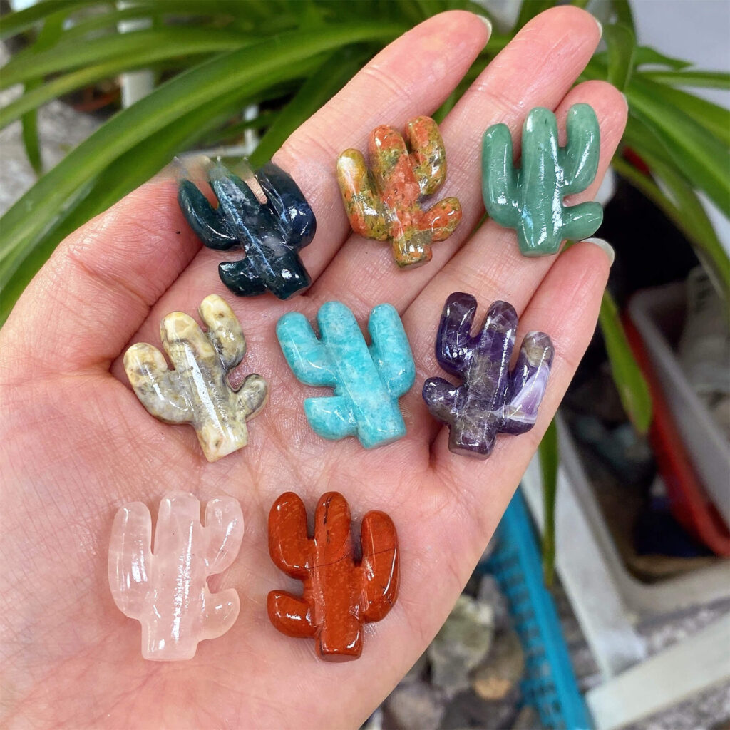 8 Types Cactus Crystal Carving Plants