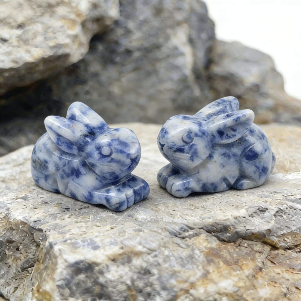 Cute Animal Carved Crystals Decoration Natural Details 6