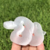 selenite